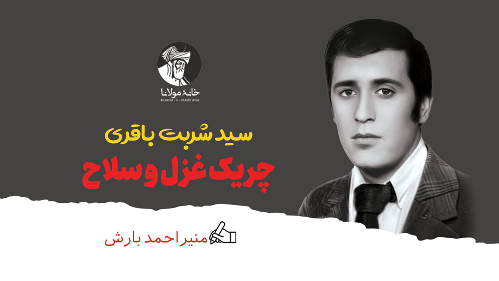 سید شربت باقری، چریک غزل و سلاح