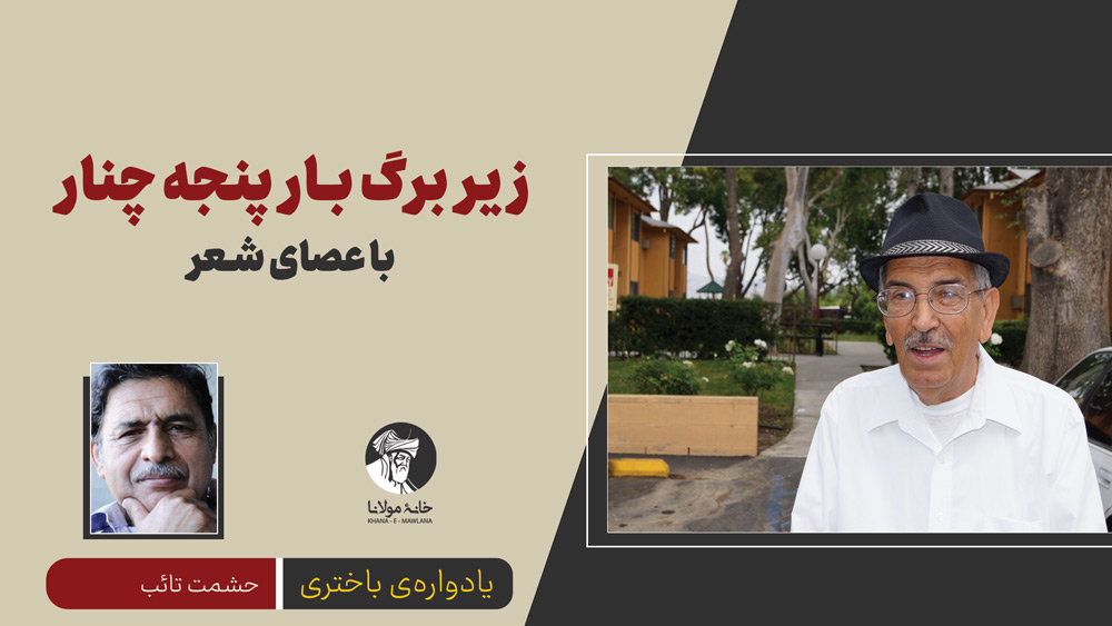 زیر برگ‌بار پنجه‌چنار با عصای شعر