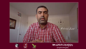 میرویس بلخی ـ نویسنده و استاد دانشگاه