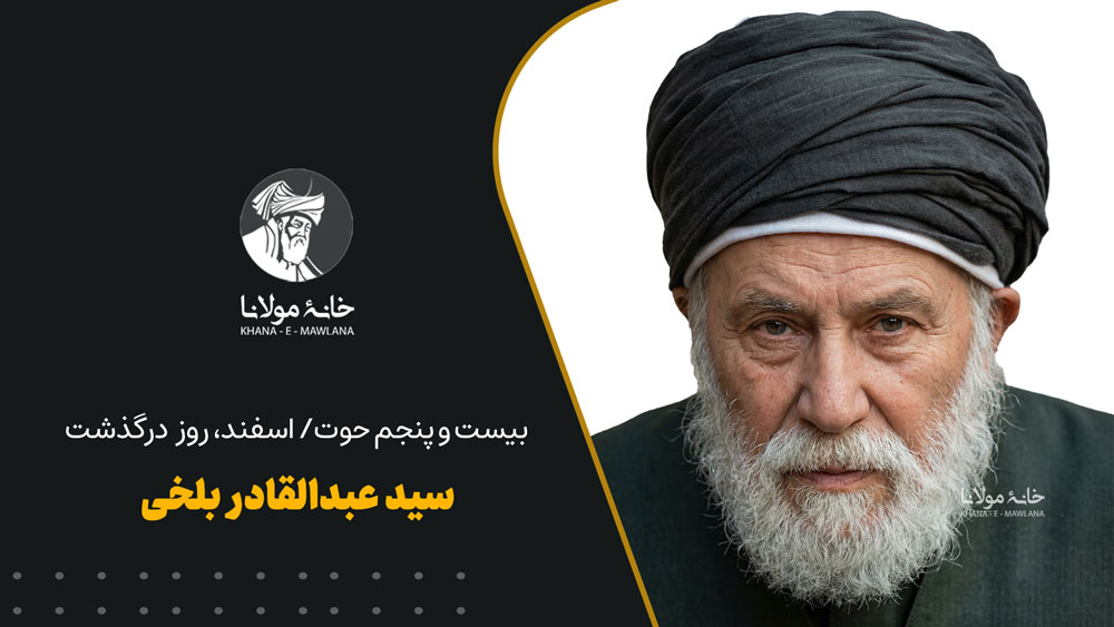 سید عبدالقادر بلخی