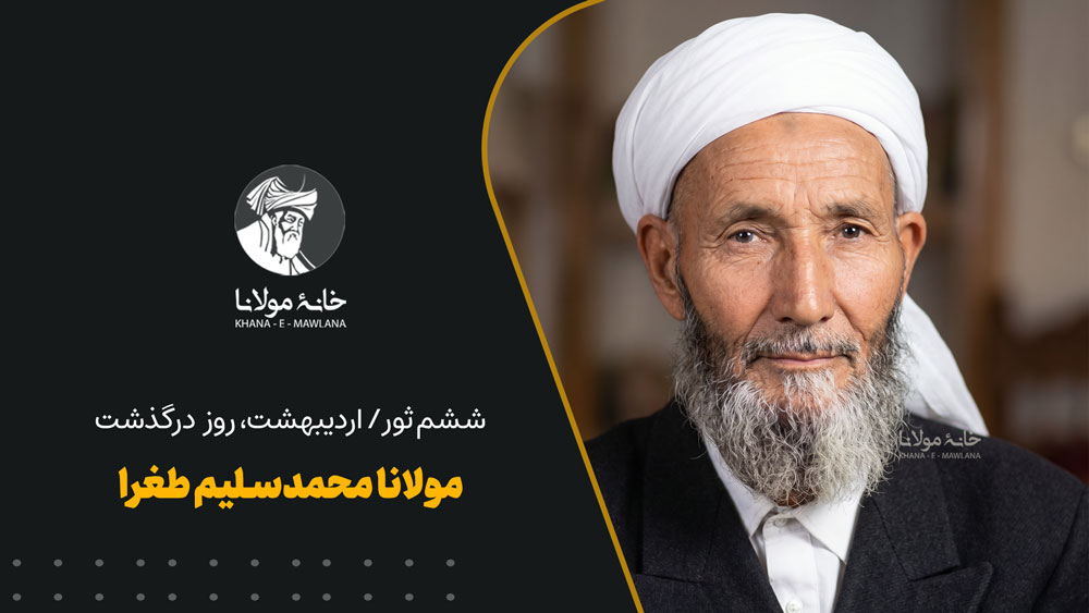 مولانا محمدسلیم طغرا