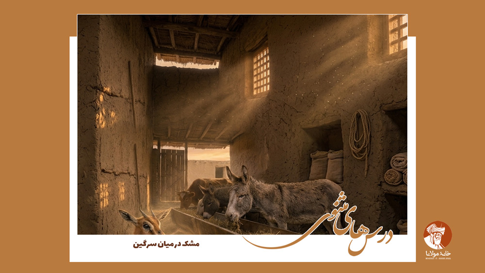 مشک در میان سرگین